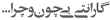گارانتی بی چون و چرا